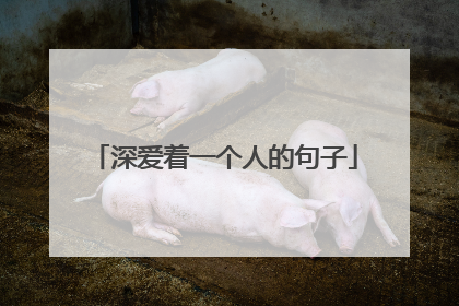 深爱着一个人的句子