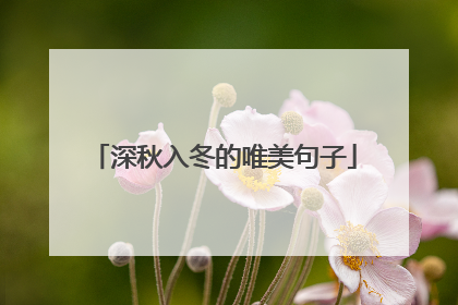 深秋入冬的唯美句子