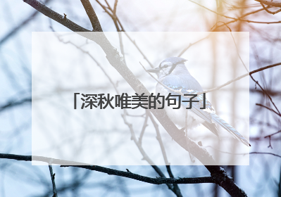 深秋唯美的句子