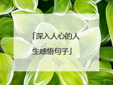 深入人心的人生感悟句子