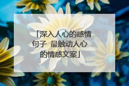 深入人心的感情句子 最触动人心的情感文案
