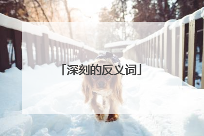 深刻的反义词