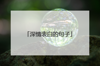 深情表白的句子