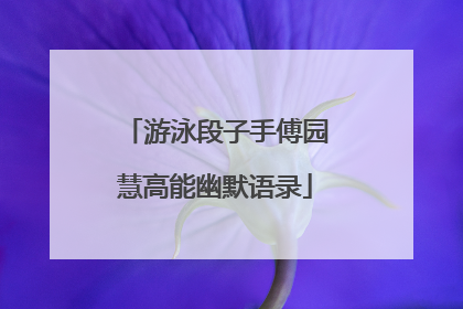 游泳段子手傅园慧高能幽默语录