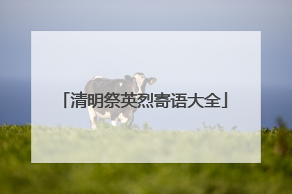 清明祭英烈寄语大全