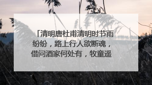 清明唐杜甫清明时节雨纷纷，路上行人欲断魂，借问酒家何处有，牧童遥指杏花村的意思是？