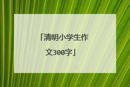 清明小学生作文300字