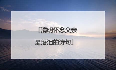 清明怀念父亲最落泪的诗句
