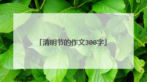 清明节的作文300字