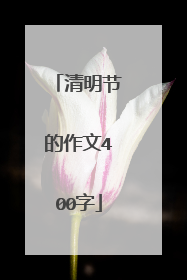 清明节的作文400字