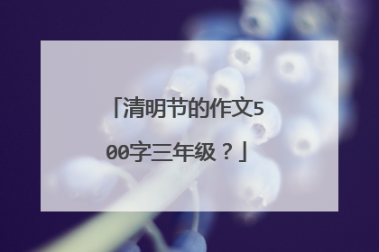 清明节的作文500字三年级？