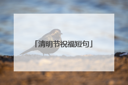 清明节祝福短句