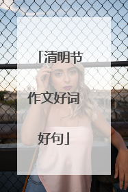 清明节作文好词好句