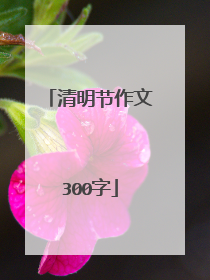 清明节作文300字
