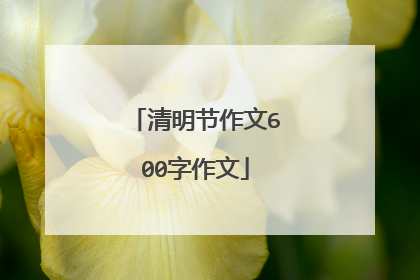 清明节作文600字作文