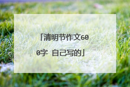 清明节作文600字 自己写的