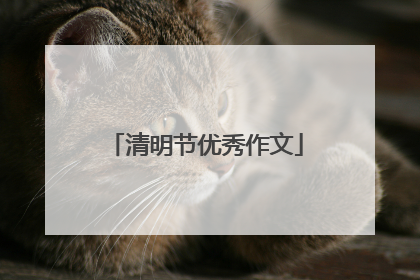 清明节优秀作文