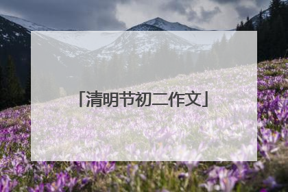 清明节初二作文