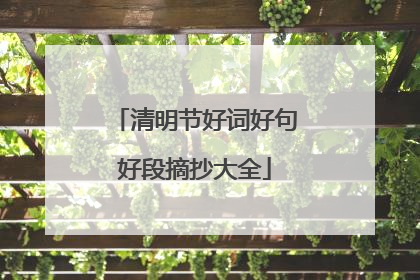 清明节好词好句好段摘抄大全