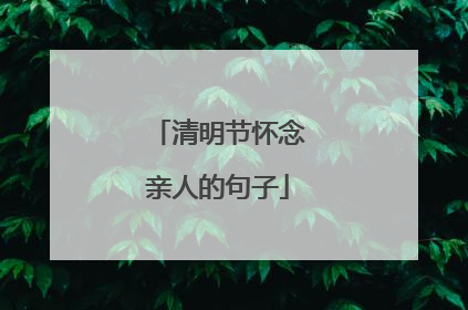清明节怀念亲人的句子