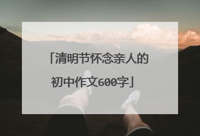 清明节怀念亲人的初中作文600字