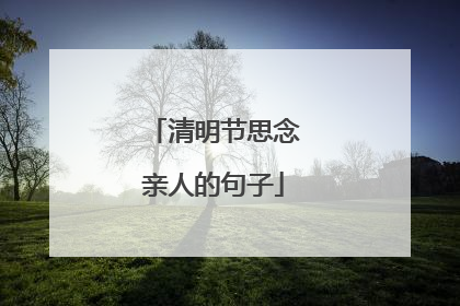 清明节思念亲人的句子
