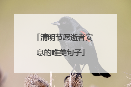 清明节愿逝者安息的唯美句子