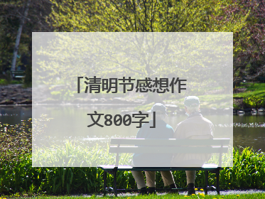 清明节感想作文800字