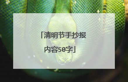 清明节手抄报内容50字