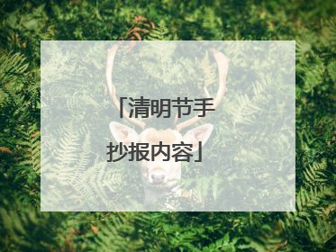 清明节手抄报内容