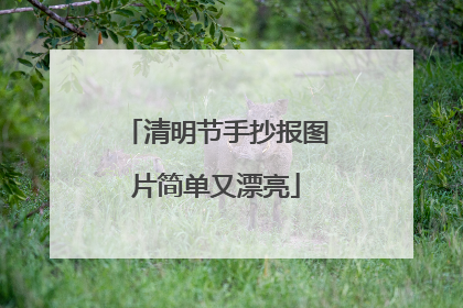 清明节手抄报图片简单又漂亮