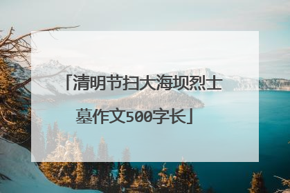 清明节扫大海坝烈士墓作文500字长