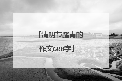清明节踏青的作文600字