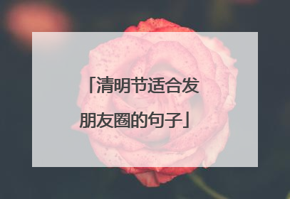 清明节适合发朋友圈的句子