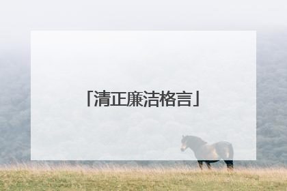 清正廉洁格言