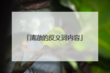 清澈的反义词内容