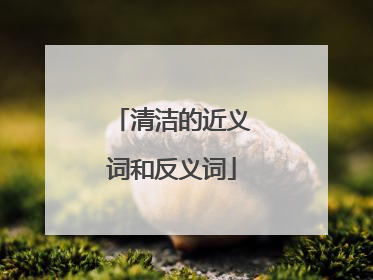 清洁的近义词和反义词