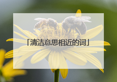 清洁意思相近的词