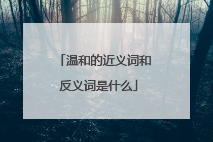 温和的近义词和反义词是什么
