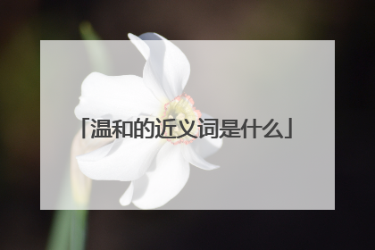 温和的近义词是什么