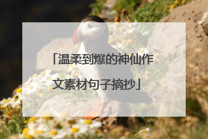 温柔到爆的神仙作文素材句子摘抄