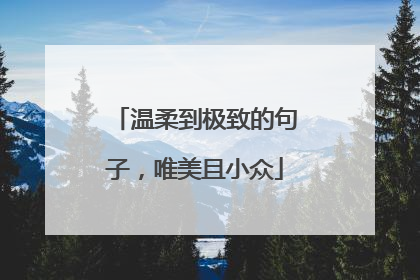 温柔到极致的句子，唯美且小众
