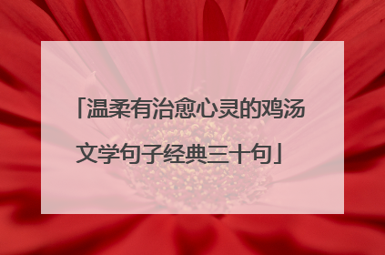 温柔有治愈心灵的鸡汤文学句子经典三十句