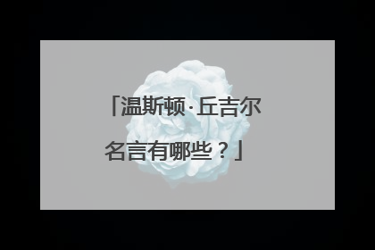 温斯顿·丘吉尔名言有哪些？