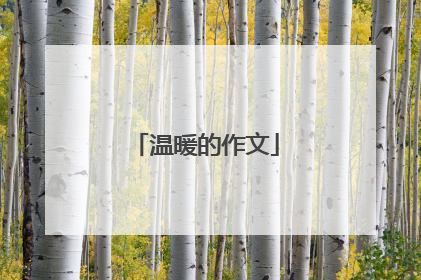 温暖的作文