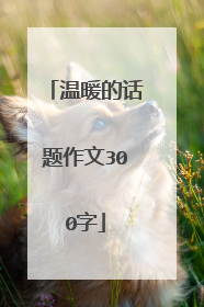 温暖的话题作文300字