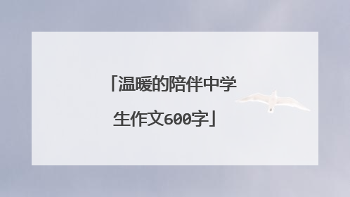 温暖的陪伴中学生作文600字