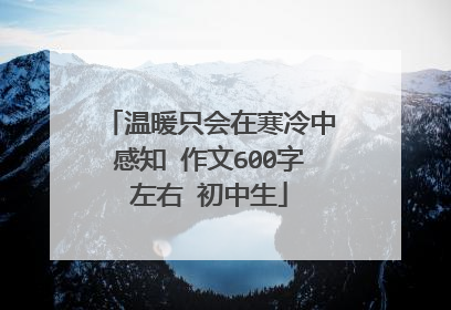 温暖只会在寒冷中感知 作文600字左右 初中生
