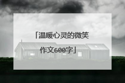 温暖心灵的微笑作文600字