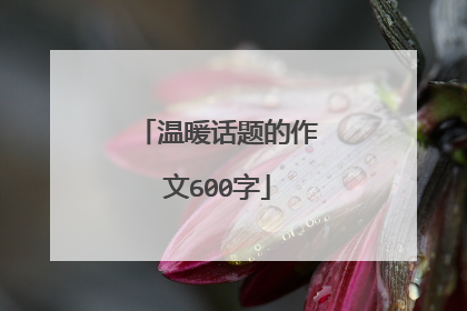 温暖话题的作文600字